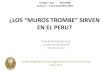 ¿LOS “MUROS TROMBE” SIRVEN EN EL PERU?fc.uni.edu.pe/mhorn/MUROS DE TROMBE.pdf · Perú, SENCICO (*) implement 