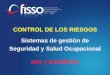 CONTROL DE LOS RIESGOS Sistemas de gestión de · PDF filecontinuo politica de seguridad y salud ocupacional planificacion implementacion y operaciÓn revision por la direccion verificacion