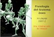 Sistema óseo Fisiología -   · PDF fileFisiología del Sistema óseo FI-UNAM 2007-2 Dra. Cristina León de Velasco