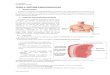 TEMA 4 SISTEMA CARDIOVASCULAR · PDF fileEl sistema cardiovascular está formado por el corazón y los vasos sanguíneos: arterias, venas y capilares. Se trata de un sistema de transporte