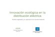 Innovación ecológica en la distribución eléctrica AESF.pdf · Alejandro Pérez Bigot. • Ing. Luis Oscar Schujman. Proceso de gestión •Propuesta por parte de la empresa ante