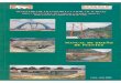 Documento1 - INTI · PDF fileplaneamiento, el análisis y el diseño, de puentes carreteros y de puentes peatonales. Se especifican en cada caso los requisitos mínimos, quedando a
