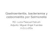Gastroenteritis, bacteriemia y osteomielitis por Salmonella · PDF filede orientación para el Dx de bacteriemia ... Salmonella con el fin de evitar las focalizaciones ... • S. aureus