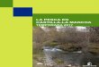 LA PESCA EN CASTILLA-LA MANCHA - gestioncinegetica · PDF filePESCAR EN CASTILLA-LA MANCHA Este folleto pretende ser una guía de apoyo para el pescador, incluyendo las principales