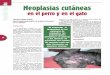 Neoplasias cutáneas - · PDF filepara revisiones periódicas, y los ser-vicios profesionales que prestamos los veterinarios han mejorado en ... Las ventajas de la citología en el