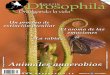 Drosophila · PDF filedientes son el motivo del apelativo sanguinario. El nombre genérico, Lythronax, es una ... planta de cafeto arábigo (Coffea arabica),