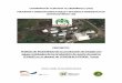 PROYECTO: Análisis de Factibilidad de la producción de ... Estudio de factibilidad para biogas... · Por lo que se propone la instalación de una planta de biodigestión ... Galones
