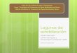 Lagunas de estabilización - Emprendimiento en Chilefch.cl/wp-content/uploads/2013/09/Lagunas_de_estabilizaci_n_ralcea.pdf · En este curso el término lagunas de estabilización