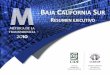 BAJA CALIFORNIA UR - …metricadetransparencia2010.cide.edu/Rep_estatales/bcs.pdf · DATOS BÁSICOS • Instituto de Transparencia y Acceso a la Información Pública del Estado de