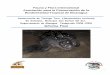 Proyecto de conservación de tortuga tora - · PDF fileAsociación para la Conservación ... Se impartió talleres de Educación ambiental a niñas y niños de escuelas primarias de