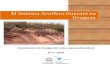 El Sistema Acuífero Guaraní en Uruguay - · PDF fileperforados que alcanzan el SAG, presentan surgencia natural, ... principalmente de pozos de agua en el basalto, tanto para consumo