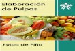 Pulpa de Piña by Sistema de Bibliotecas Sena is licensedrepositorio.sena.edu.co/bitstream/11404/1536/1/pulpa_de_pina.pdf · Pulpa de Piña by Sistema de Bibliotecas Sena is licensed