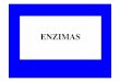 ENZIMAS - docentes.educacion.navarra.esdocentes.educacion.navarra.es/ralvare2/enzimas.pdf · Con la excepción de un pequeño grupo de moléculas de RNA catalíticos, todos ... Cu