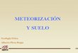 METEORIZACIÓN Y SUELO - sgpwe.izt.uam.mxsgpwe.izt.uam.mx/files/users/uami/alpr/Meteorizacion_suelo.pdf · Meteorización y suelo • Procesos externos de la Tierra • Intemperismo