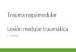 Trauma raquimedular Lesión medular traumá · PDF file- Gestos sin respuesta espinal - Respiración paradojal - Priapismo - Paresia de MMII (con o sin MMSS) - Paresia MMSS ... •