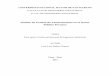 Modelo de Gestión de Abastecimiento en el Sector Publico …cybertesis.unmsm.edu.pe/bitstream/cybertesis/4419/1/Ñahui_nj.pdf · La gestión de abastecimiento mediante compras públicas