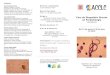 Curs de Diagnòstic Directe en Parasitologia - acclc. · PDF fileOrganitzat per l’ Associació Catalana de Ciències de Laboratori Clínic Curs de Diagnòstic Directe en Parasitologia