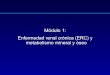Módulo 1: Enfermedad renal crónica (ERC) y metabolismo · PDF fileEnfermedad renal crónica – Alteraciones del metabolismo mineral y óseo (ERC-AMO) • Anormalidades en el metabolismo
