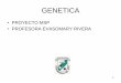 GENETICA - suagm. · PDF file¿Qué es genética? • Rama de las ciencia biológicas que se dedica a el estudio de la naturaleza, organización, función, expresión, transmisión