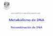 Recombinación de DNA -   · PDF file1. RECOMBINACIÓN HOMÓLOGA. Involucra el intercambio genético entre dos moléculas de DNA (o dos segmentos de la misma