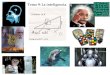 Tema 9: La inteligencia. - alarcosfilosofia.wikispaces.com9+PSI-+La... · Afirma que cada persona tiene al menos ocho tipos de inteligencia: musical, ... El desarrollo de la inteligencia