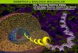 GENETICA y BIOLOGIA MOLECULAR - …depa.fquim.unam.mx/amyd/archivero/Clase01_22436.pdf · GENETICA y BIOLOGIA MOLECULAR Dra. ... realizó experimentos en el pequeño jardín ... Herramientas