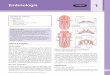 Embriología - media.axon.esmedia.axon.es/pdf/89444_1.pdf · de la audición y el equilibrio que se desarrollan a partir del otocisto. † El nervio glosofaríngeo (IX) es mixto