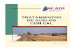 TRATAMIENTOS DE SUELOS CON CAL - anfacal.organfacal.org/.../JM-Tratamiento_de_suelos_con_cal_-ANCADE.pdf · Tratamientos de suelos con cal. Abril de 2005 1 ... aumentando la capacidad