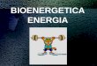 BIOENERGETICA ENERGIA · PDF fileENERGIA: BIOENERGETICA Rama de la termodinámica, que se encarga del estudio cuantitativo de las transducciones o transformaciones energéticas