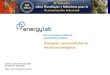 Energylab: oportunidades de eficiencia energética · PDF fileLED y OLED Bomba de Calor Geotérmica ... Reparto de consumos en el hogar en España para un consumo medio ... estado
