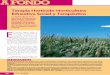 A FONDO -   · PDF fileA FONDO Situación actual y retos de futuro Terapia Hortícola-Horticultura Educativa Social y Terapéutica 32 Autonomía personal La Horticultura es la
