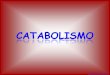 PRINCIPALES RUTAS DEL CATABOLISMOiespoetaclaudio.centros.educa.jcyl.es/sitio/upload/catabolismo... · PRINCIPALES RUTAS DEL CATABOLISMO DE LA GLUCOSA Respiración celular Fermentaciones