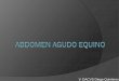 V. DACVS Diego Quinteros - vet. · PDF fileGrado y cambios del dolor ... Abdomen Agudo equino Author: Diego Created Date: 4/22/2014 1:03:56 AM
