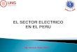 EL SECTOR ELECTRICO EN EL PERU - …biblioteca.uns.edu.pe/saladocentes/archivoz/curzoz/energia... · Comité de Operación Económica del ... Las cuencas hídricas peruanas se encuentran