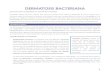 DERMATOSIS BACTERIANA - medicina-ucr.commedicina-ucr.com/quinto/wp-content/uploads/2015/02/Dermatosis... · estreptodermias si son causadas por Streptococcus y estafilodermias si