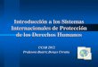 Introducción a los Sistemas Internacionales de Protección ...w2.ucab.edu.ve/tl_files/CDH/Lineastematicas/Introduccion a los... · Decisiones de fondo nueve votos afirmativos, 