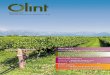 Olivicultura - olint.com núm 29.pdf · Diseño y ejecución de plantaciones mecanizadas e instalaciones de riego Somos especialistas en optimizar la rentabilidad de su explotación