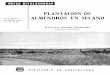 PLANTACION DE ALMENDROS EN SECANO - · PDF filede almendros para su posterior plantación en secan^^ es el de proveerse de semilla dtira anlarg-a de btiena calida^l. ... las plantaciones