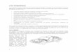 Los esquemas - .:: · PDF filele sirve de más el esquema de principio que el de instalación. ... un ssquema de SEAT Ibiza/Cordoba motor 2E con sistema de gestión VAG Digifant 