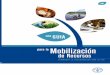 Una Guía para la Mobilización de Recursos - fao. · PDF filepretende ampliar los conocimientos y las competencias en la movilización de recursos. Concretamente, ... IFA Ámbitos