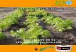 CATÁLOGO DE PRODUCTOS AGRICOLA - acrocarpus.comacrocarpus.com/catalogo_agricola.pdf · INGENIERIA EN SISTEMAS DE RIEGO “El poder del agua en la naturaleza” Acrocarpus SA de CV