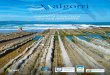 Zumaiako Natur Baliabideen Interpretazio · PDF fileKostaldeko ekosistemak: izaki bizidunak eta beraien moldaerak. Elika-katea. Kostaldean aurki daitezkeen elementuak: naturalak eta