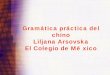 Gramática práctica del chino Liljana Arsovska El Colegio ...economia.unam.mx/deschimex/cechimex/chmxExtras/documentos/... · •México no es la excepción. Hace varios años muchas