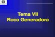 Tema VII Roca Generadora - Geología · PDF fileEl término Roca Generadora se ha empleado para asignar a las rocas que son ricas en materia orgánica que son o han sido capaz de generar