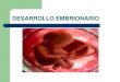 DESARROLLO EMBRIONARIO - ibcm.blog.unq.edu.aribcm.blog.unq.edu.ar/wp-content/uploads/sites/8/2013/03/desarrollo... · Semana 48: Periodo embrionario (organogenesis, morfogenesis)