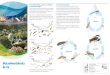 Els macroinvertebrats aquàtics com a indicadors de la ... · PDF fileEs fan servir com a indicadors de qualitat a la majoria de rius del món, perquè responen als canvis ambientals