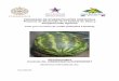 Cultivo de sandía - cenida.una.edu.nicenida.una.edu.ni/relectronicos/RENF01CH517s.pdf · o amarillo) y las semillas pueden estar ausentes (frutos triploides) o mostrar tamaños y