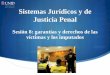 Sistemas Jurídicos y de Justicia Penal - moodle2.unid.edu.mxmoodle2.unid.edu.mx/dts_cursos_mdl/pos/DE/JP/S08/JP08_Visual.pdf · En los casos en que sea procedente, ... Solicitar