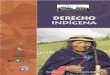 DERECHO - site.inali.gob.mxsite.inali.gob.mx/pdf/Ecuador_Derecho_Indigena.pdf · Complementariamente, la aplicación del Derecho Indígena tiene su fundamento en la no violación