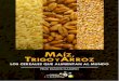 PDF (Maíz Trigo y Arroz) - eprints.uanl.mxeprints.uanl.mx/3649/1/maiztrigoarroz.pdf · 9 Maíz, trigo y arroz Los cereales que alimentan al mundo C on el propósito de presentar